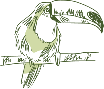 bird vector Landscape Ethiopia Tours Discover Ethiopia. Experience the Extraordinary.