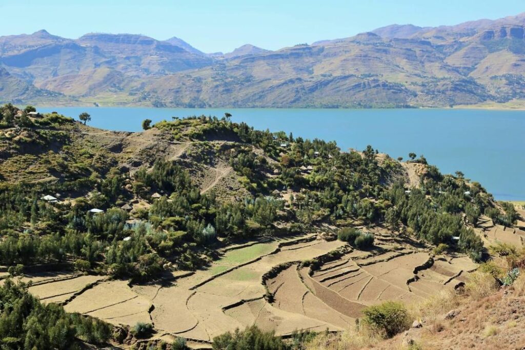 History, Culture & Extraordinary Landscapes 5 WhatsApp Image 2026 08 16 at 9.16.19 PM 29 Landscape Ethiopia Tours Discover Ethiopia. Experience the Extraordinary.