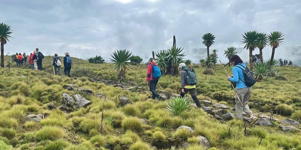 WhatsApp Image 2026 08 17 at 8.45.35 AM 3 e1786948341498 Landscape Ethiopia Tours Discover Ethiopia. Experience the Extraordinary.