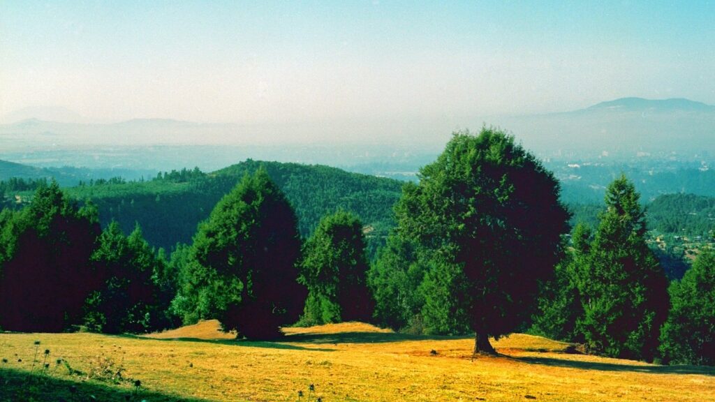 a great place for picnics Landscape Ethiopia Tours Discover Ethiopia. Experience the Extraordinary.