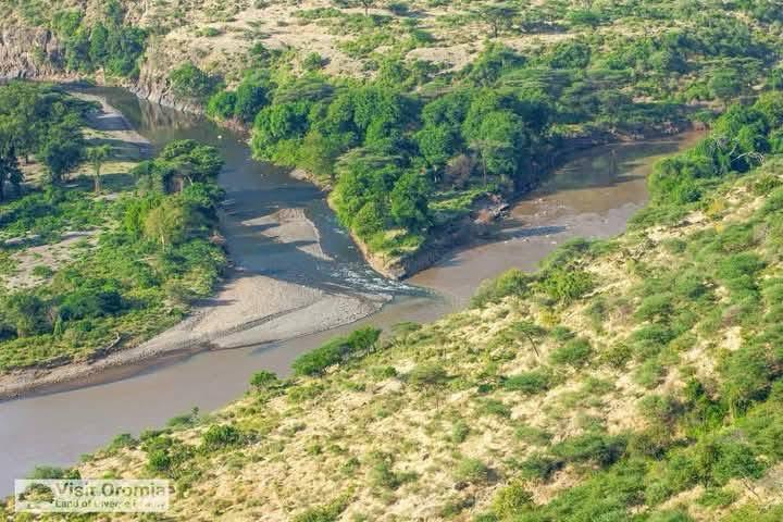 Awash National Park Wildlife & Nature Escape 6 WhatsApp Image 2026 08 24 at 1.38.32 PM 1 Landscape Ethiopia Tours Discover Ethiopia. Experience the Extraordinary.